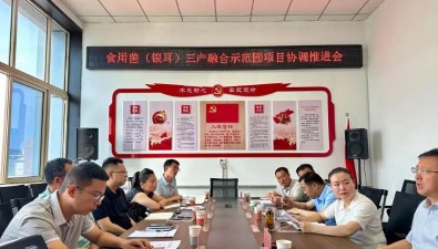 山西长子县召开食用菌（银耳）三产融合示范园项目协调推进会