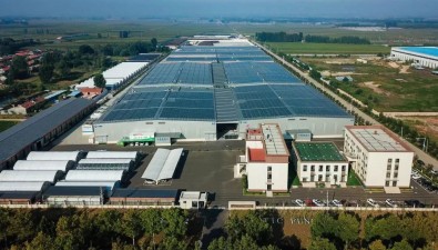 艾泽福吉生物：形成食用菌全产业链发展模式