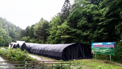 安徽休宁流口镇：校地合作，食用菌产业再升级