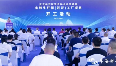 宏臻牛肝菌（武汉）工厂项目开建