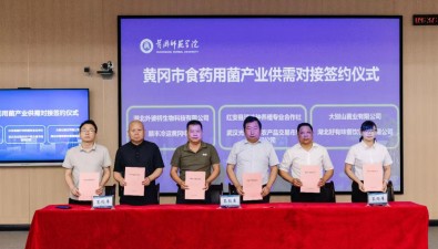 总金额1.2亿元！产学研供需对接会签约食药用菌超过5000吨