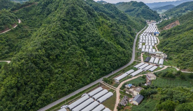 贵州赫章：小菌菇成就大产业