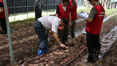 亩产鲜品668.8公斤！安徽黄山红托竹荪示范种植基地现场测产