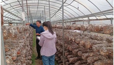 陕西商洛集中开展食用菌质量安全专项监测