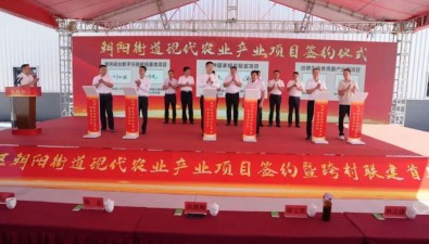 计划投资3.23亿元！福建漳州朝阳街道签约食用菌项目