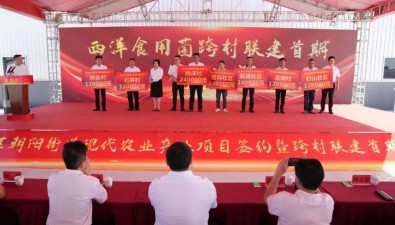 福建漳州7个村共建食用菌产业基地，首期获分红120万元