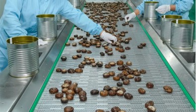 山西垣曲：食用菌订单生产忙