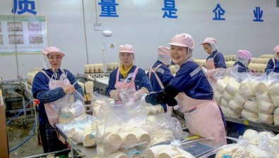 重庆万盛：发展蘑菇产业，实现农文旅融合