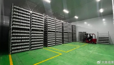 甘肃临潭：食用菌产业绘就共富新图景