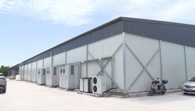 上海金山区廊下镇：将建设20座现代化菇房