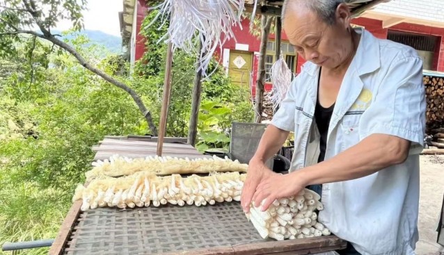 打通菌菇产销通道，助农增收