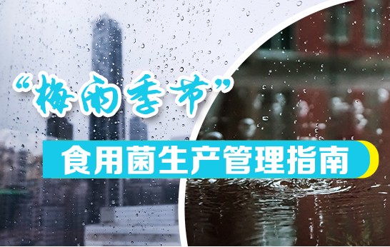 梅雨季节食用菌生产管理指南