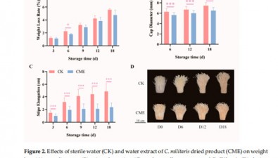 上海农科院食用菌研究所科研团队在蛹虫草两项研究取得新进展
