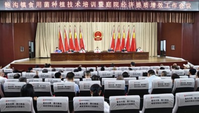 山东滕州鲍沟镇召开食用菌种植技术培训暨庭院经济提质增效工作会议