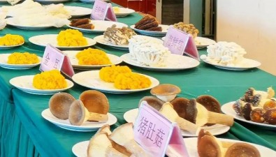 20个产品摘金！“2025浙江好菌菇”名单揭晓