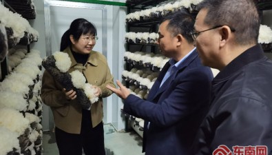 孙淑静：解锁古田银耳百亿产业“科技密码”