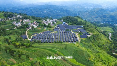 贵州道真平模社区：“小菌菇”撬动“大发展”