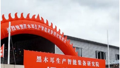 黑龙江东宁市“黑木耳生产智能装备研究院”正式揭牌成立