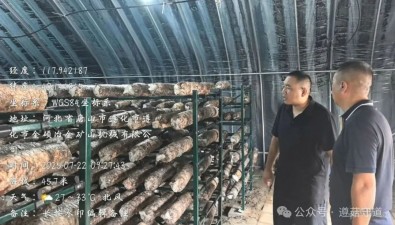 河北遵化农技人员到越夏食用菌生产基地指导