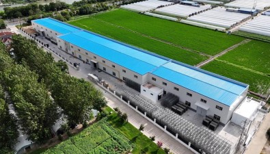 江苏泰州姜堰：智能生产线菌棒损耗降至0.1%。产量猛涨！