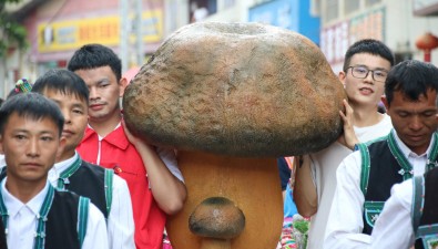 云南广南者太乡：以“菌”为媒，走出农文旅融合的“鲜美”之路