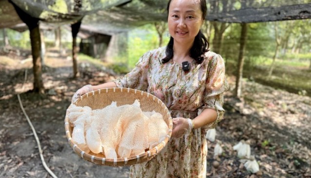成都双流林下套种竹荪、灵芝首获成功