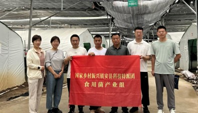 国家科技特派团食用菌产业组赴镇安县“把脉”食用菌产业