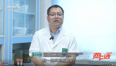 食用菌专家接受毒蘑菇科普专访