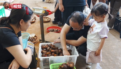 云南木水花野生菌交易中心迎来产销旺季