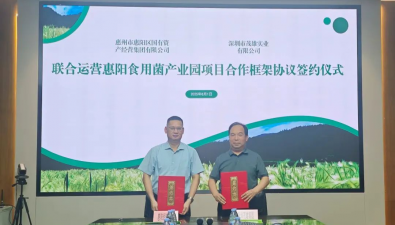 惠阳经营集团与茂雄集团签署食用菌产业园项目合作框架协议