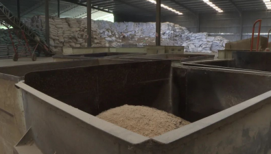 福建古田：秸秆变身食用菌“营养餐”，走出降本增效新路径