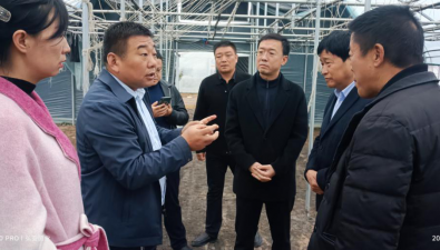 弘亚食用菌：帮助县内农户建设食用菌大棚600座