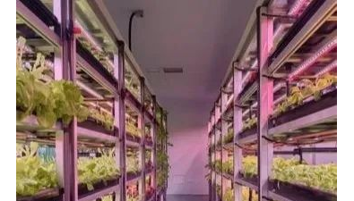 帕兰斯光科技完成对青岛鸿得源天使轮投资