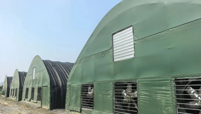 佳皓蔬菜种植园：引进食用菌智能大棚，每棚放置菌棒2万棒