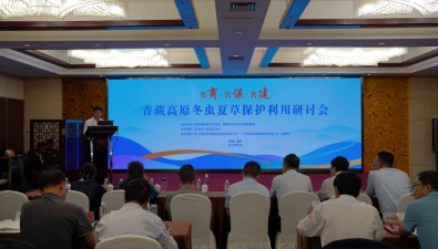 五省区联手守护“软黄金”，青藏高原冬虫夏草保护刻不容缓！