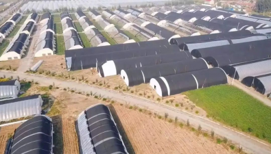 天津市蓟州区：双河湾食用菌产业园部分温室大棚等项目公开发包