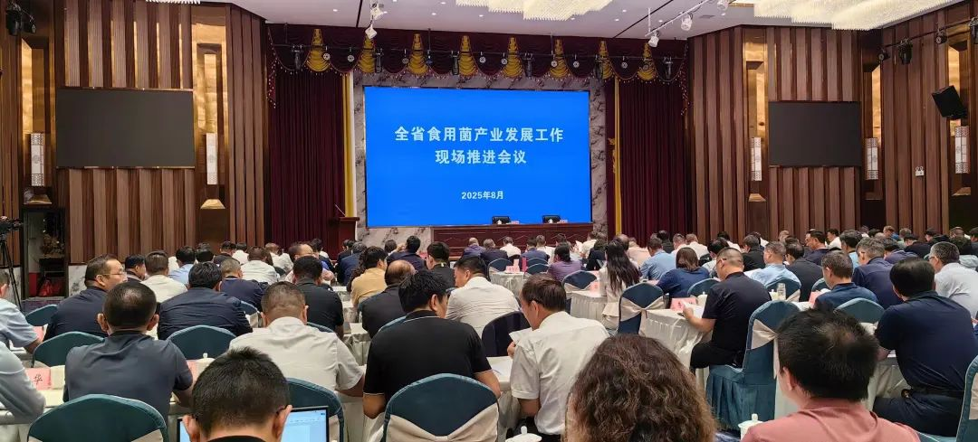 云南省食用菌产业发展工作现场推进会召开