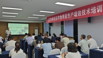 陕西西安：推广食用菌增效新技术，助农增产增收