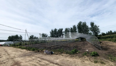 龙江森工兴隆林业局沙河子林场菌棚建设项目有序推进