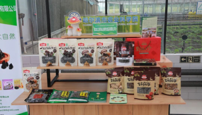 300余种产品展示，黑龙江食用菌产业创新成果显著