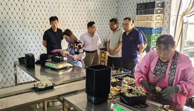 宁夏吴忠市利通区高闸镇菌菇产值超850万元