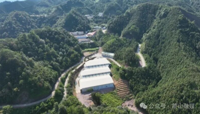 广西蒙山县：食药用菌基地9月中旬二期厂房启用