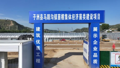 陕西子洲县：马蹄沟镇举行滑子菇菌棒入园仪式