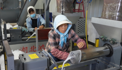 塔城地区首条食用菌菌包自动化生产线启动生产