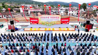 第八个“中国农民丰收节”，“菌”景独美！