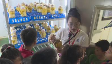 上海市农业科学院食用菌研究所科普开放日探秘蘑菇王国