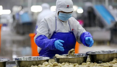 江苏紫山生物年产6000吨双孢菇项目10月投产
