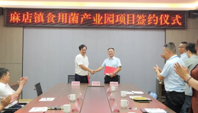总投资2.6亿元！食用菌全产业链项目落户山东惠民县麻店镇