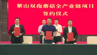 总投资10亿元！紫山双孢菇全产业链项目落户江苏宝应