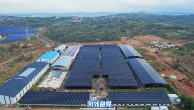 喜根田合作社：合作社投资1000多万元，顶上发电、棚下种菇